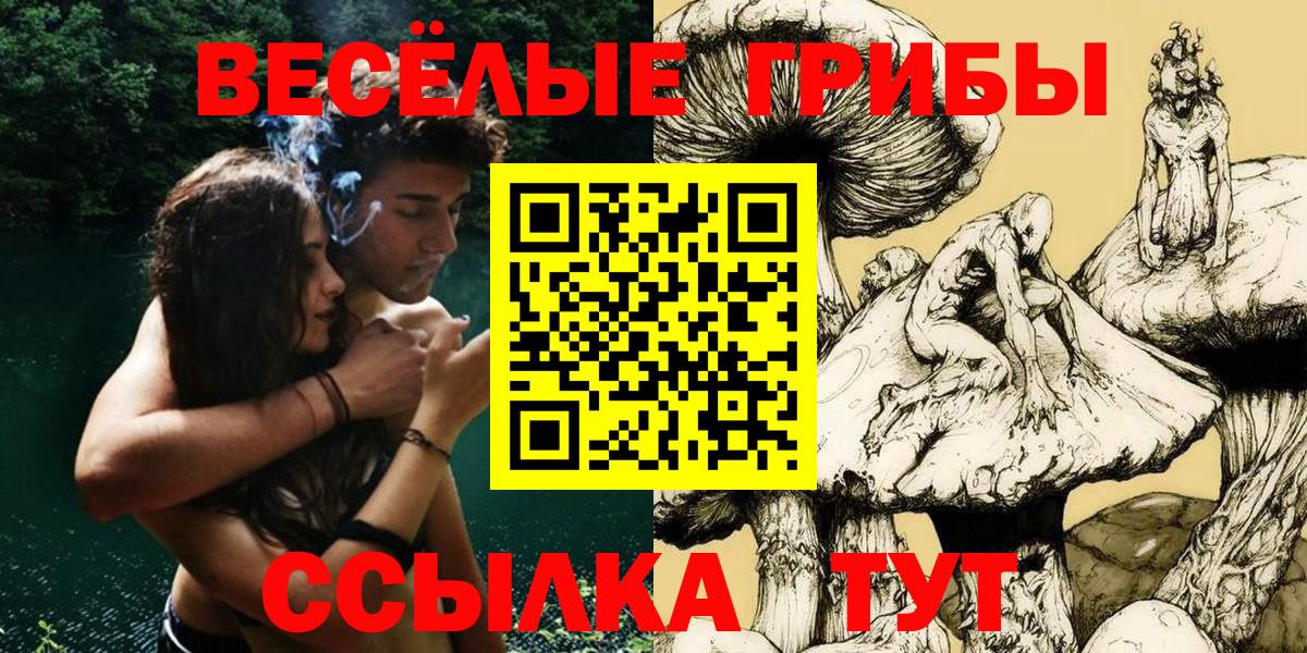 Галлюциногенные грибы Magic Shrooms  Вход с VPN  Киров 